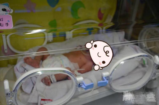 1585901793980094695.png 图片 2.png